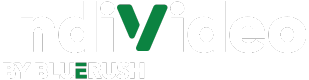 IndiVideo 2024 Logo (1)